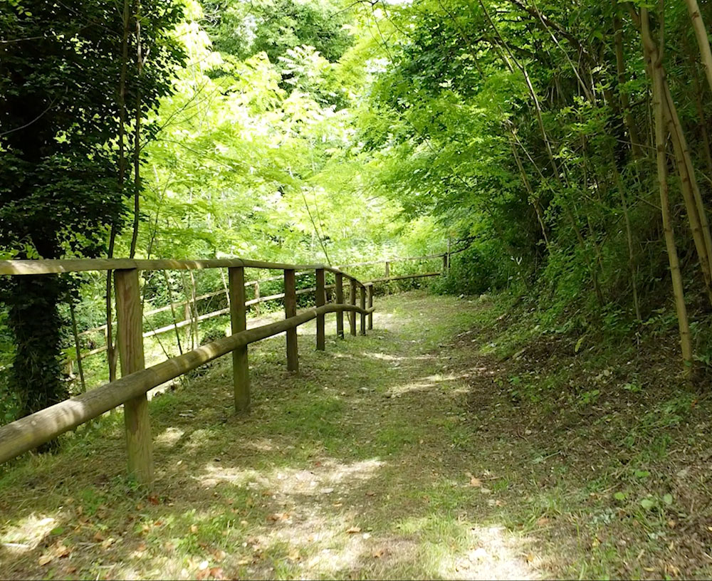 Riserva Naturale “Fiume Fiumetto”
