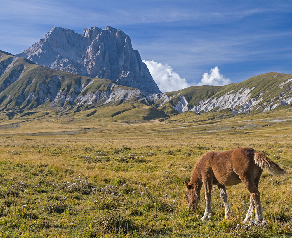 Campo Imperatore