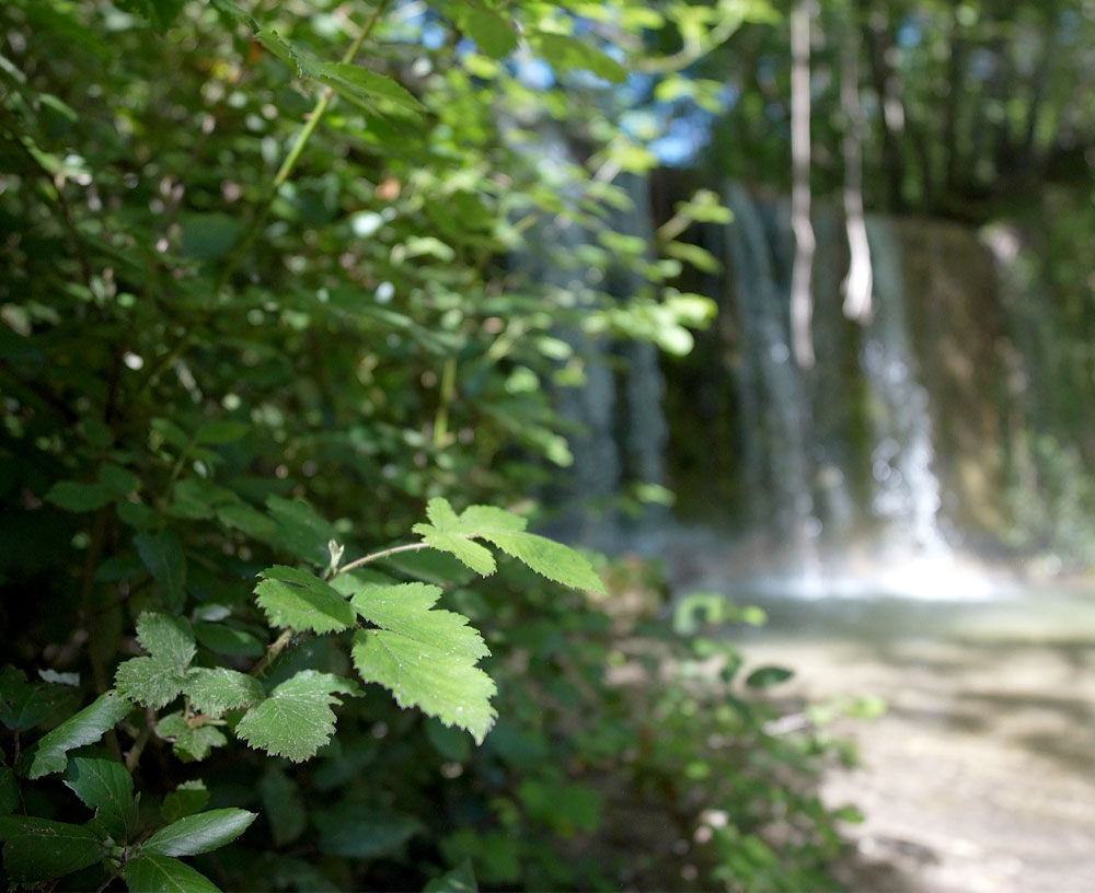 Valle degli Scoiattoli